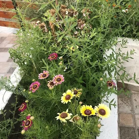 Sara's 빌라