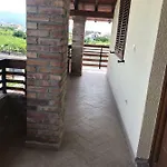 Sara's