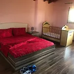 Sara's فيلة شكودر