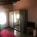 Sara's فيلة شكودر