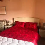 Sara's فيلة