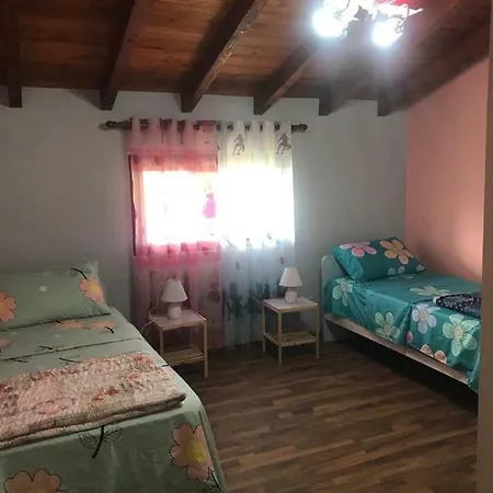 Sara's *