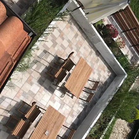 Sara's
